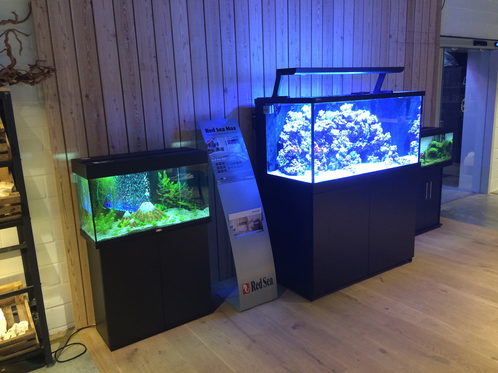 Formuleren mond Kapitein Brie Aquarium winkel – Aquarium Neon: vissen, aquaria en toebehoren