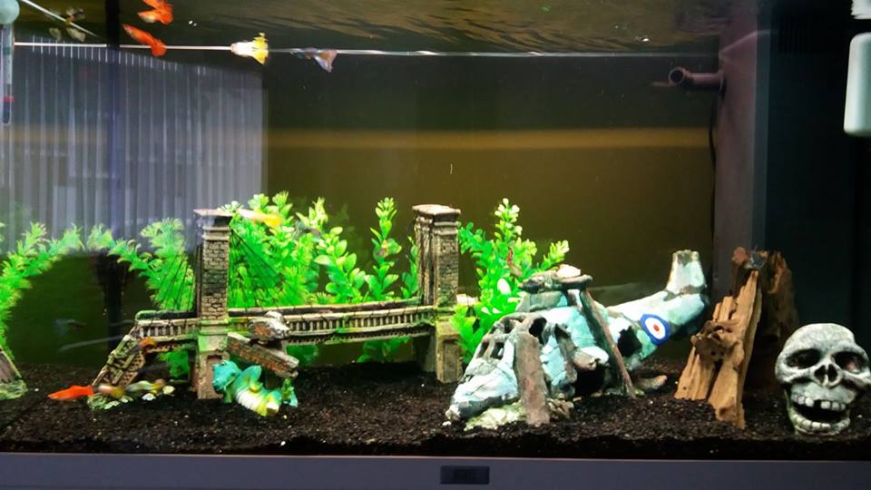 foto's aquaria klanten Neon