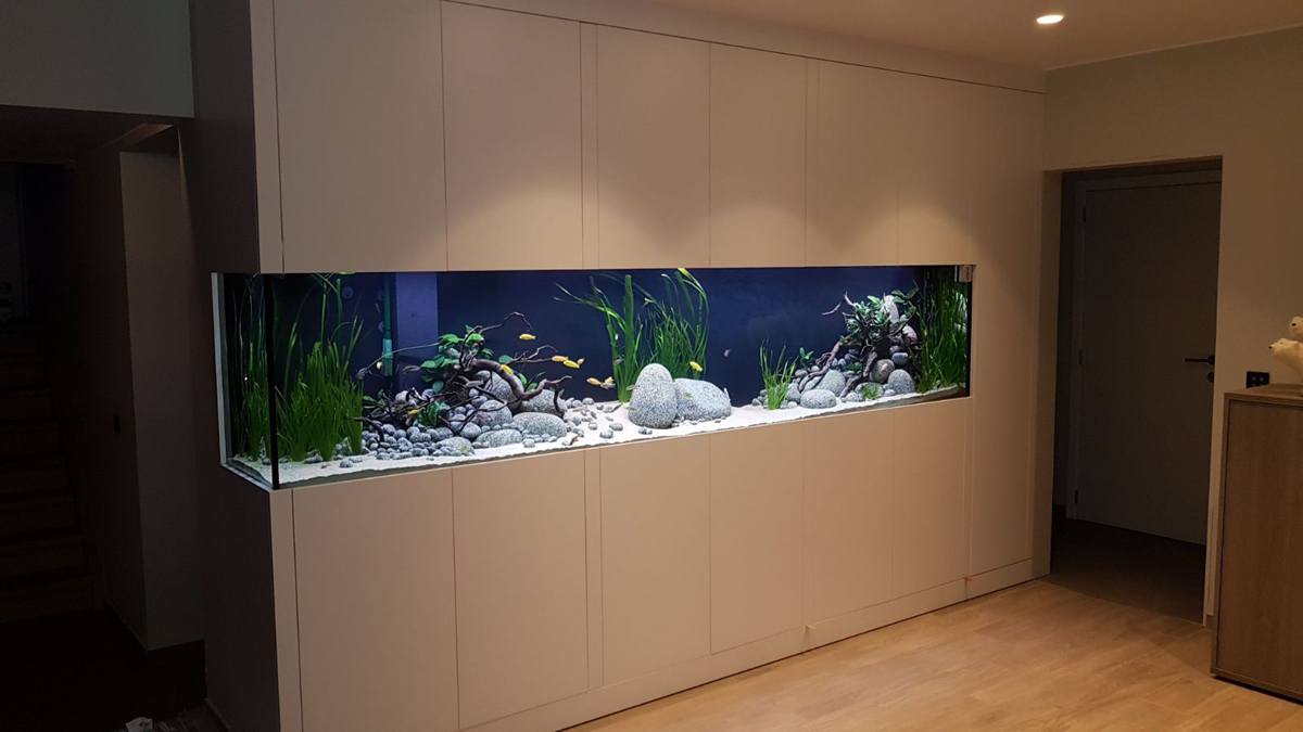 Absurd Rechthoek Los Aquarium op maat inrichten: voorbeelden – Aquarium Neon: vissen, aquaria en  toebehoren