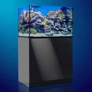 xenia-100 Aquarium Aquamedic Xenia 100