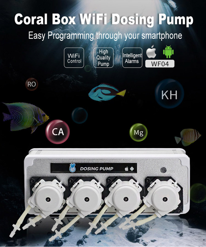 Coral Box Wifi
